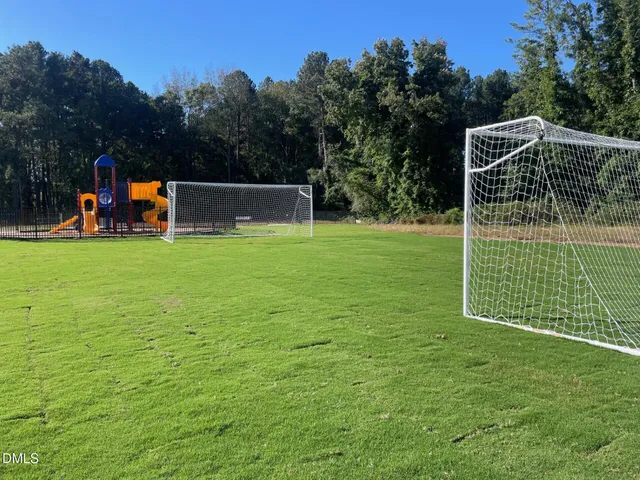 a view of a park with entertaining space