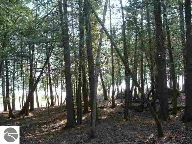 7 North Pines Road Northport, MI 49670 - Photo 2 of 6 1646970-1.JPG