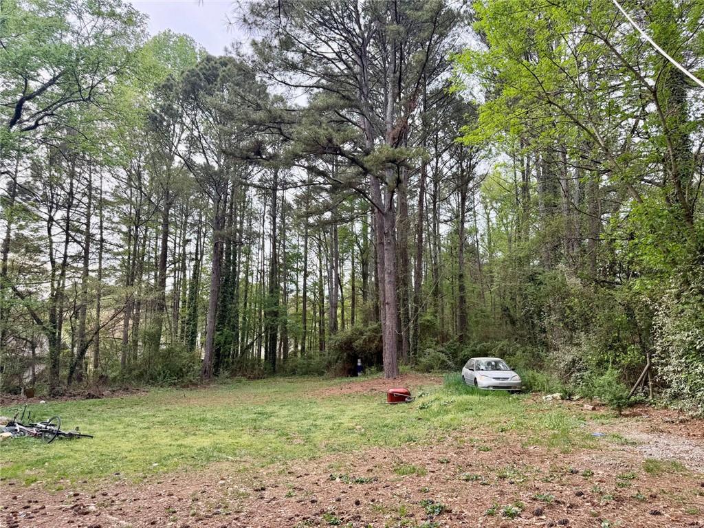 5411 Williams Road Norcross, GA 30093 - Photo 3 of 4 a view of backyard with green space