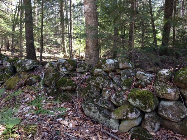 Lot 4 Colebrook River Road Tolland, MA 01034 - Photo 9 of 13 Gallery Image 9