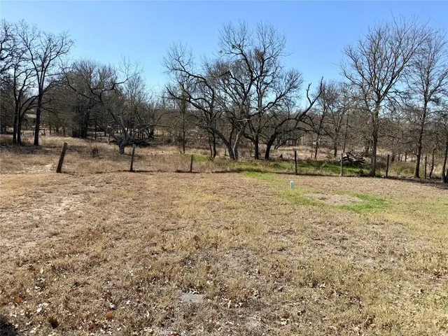a view of open space with trees