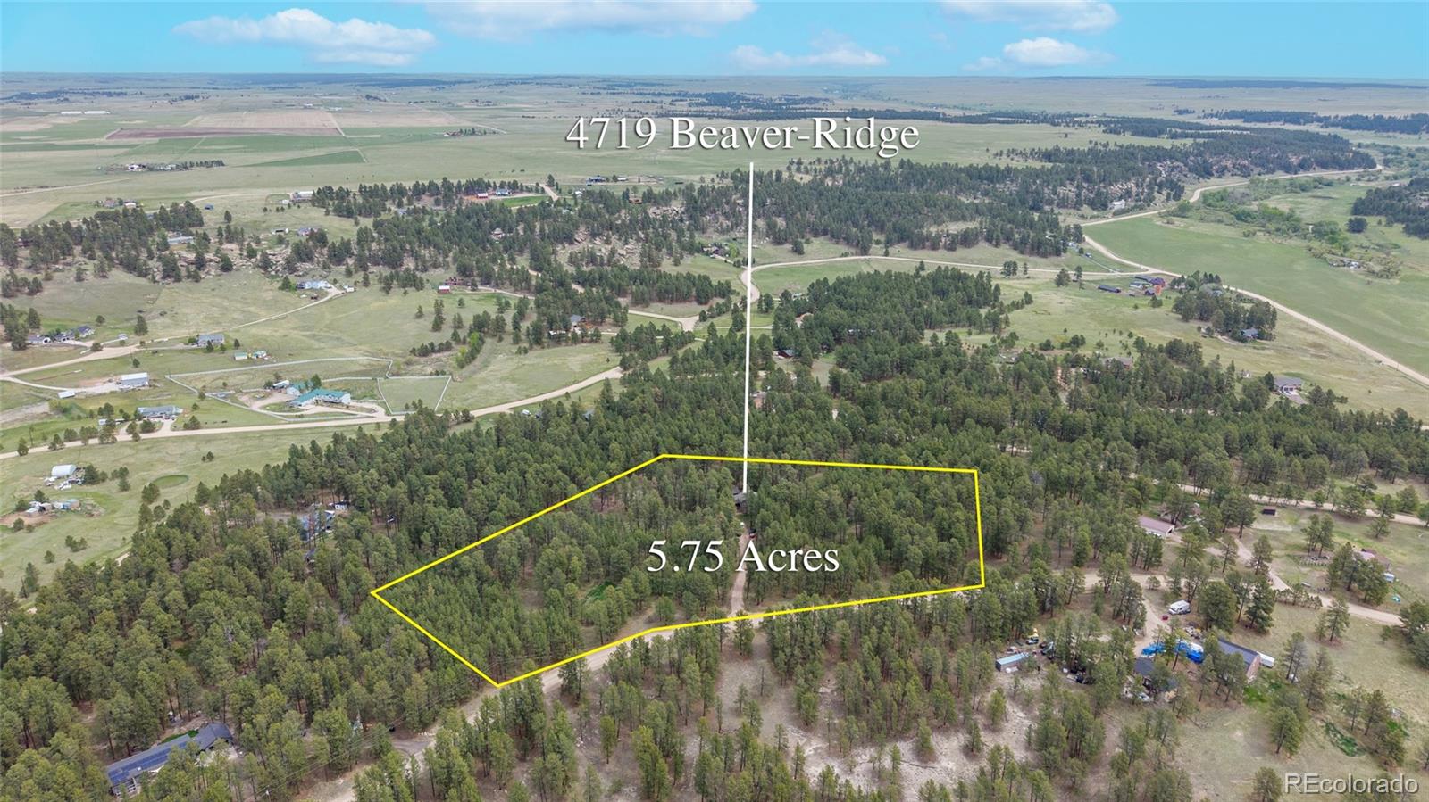 4719 Beaver-Ridge Elbert, CO 80106 - Photo 43 of 48