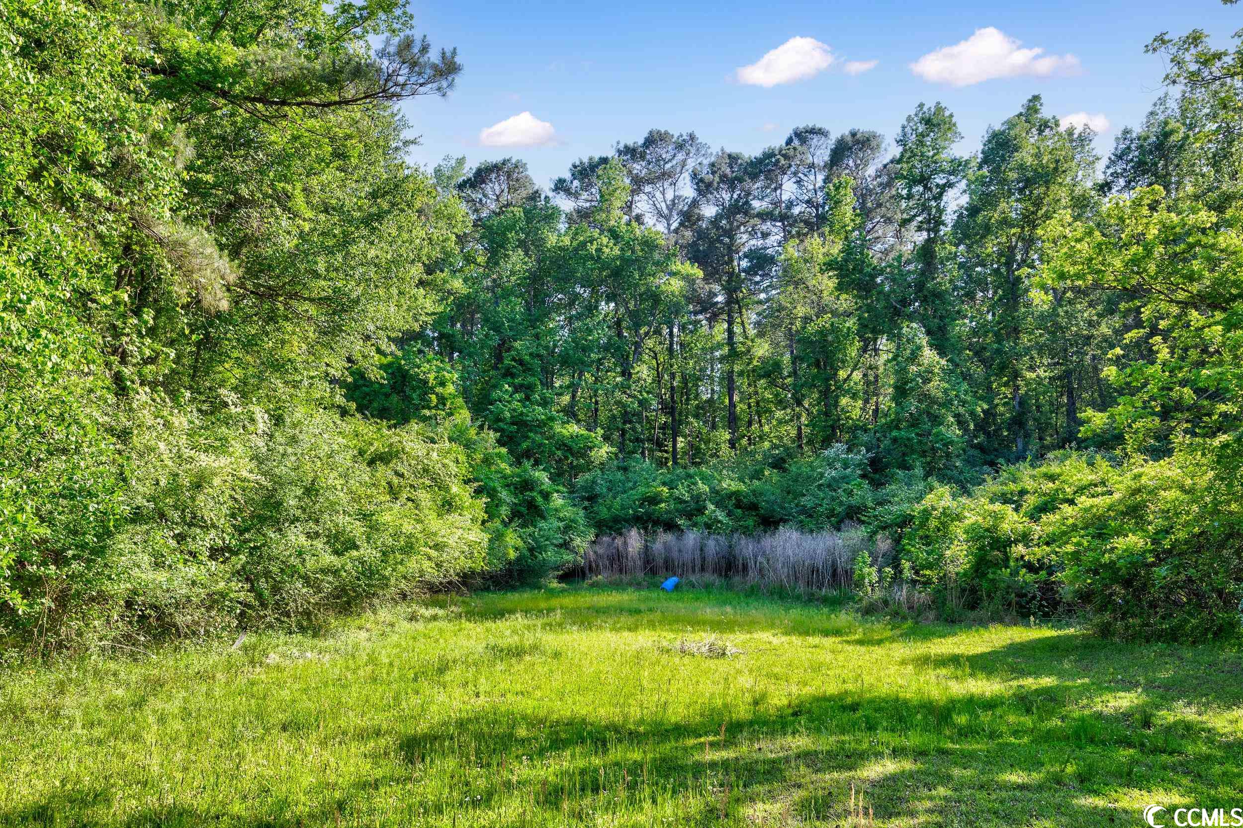 2475 Beverly Road Conway, SC 29527 - Photo 21 of 26