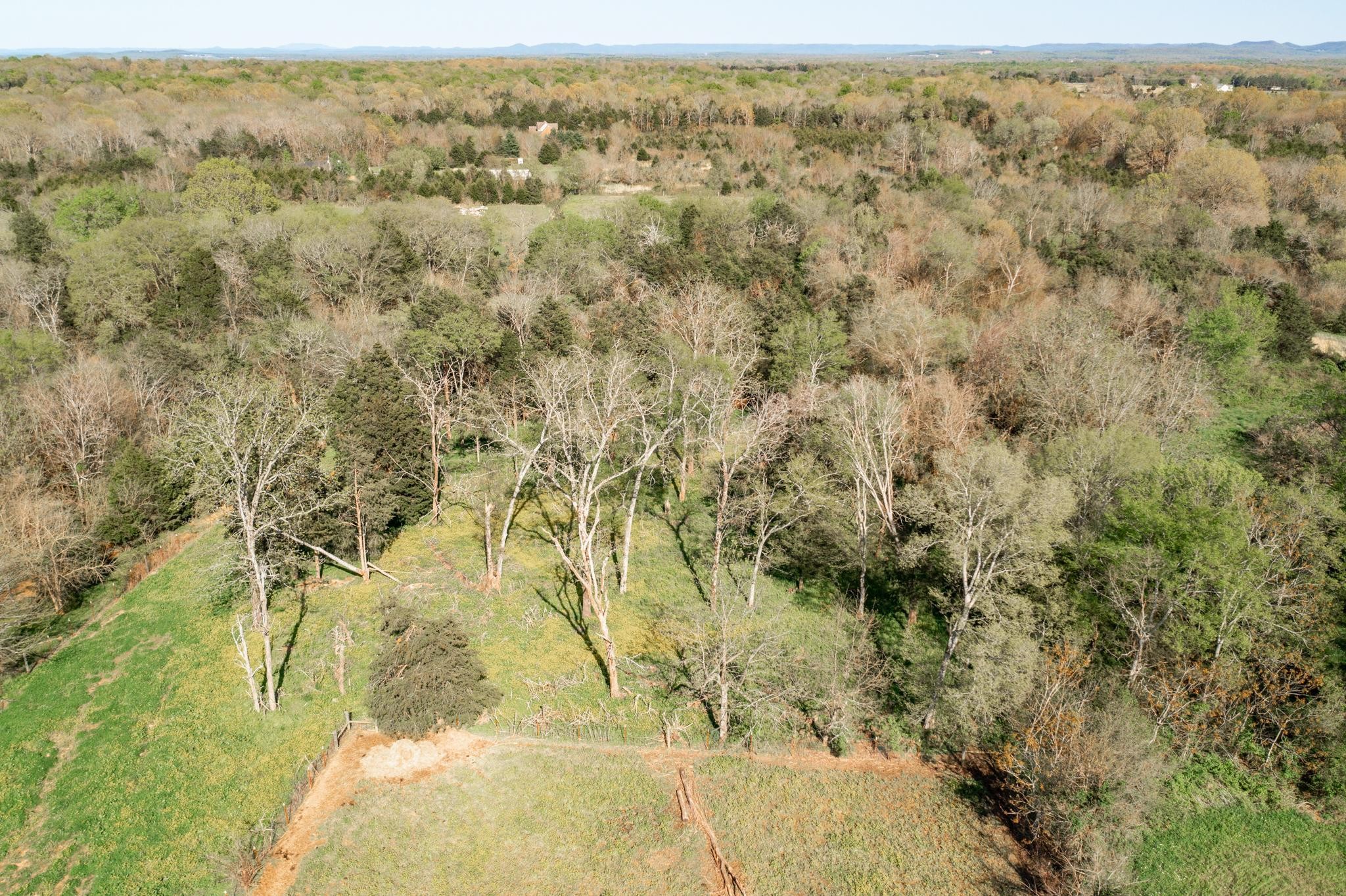 13459 Versailles Road Rockvale, TN 37153 - Photo 31 of 40 a view of a yard