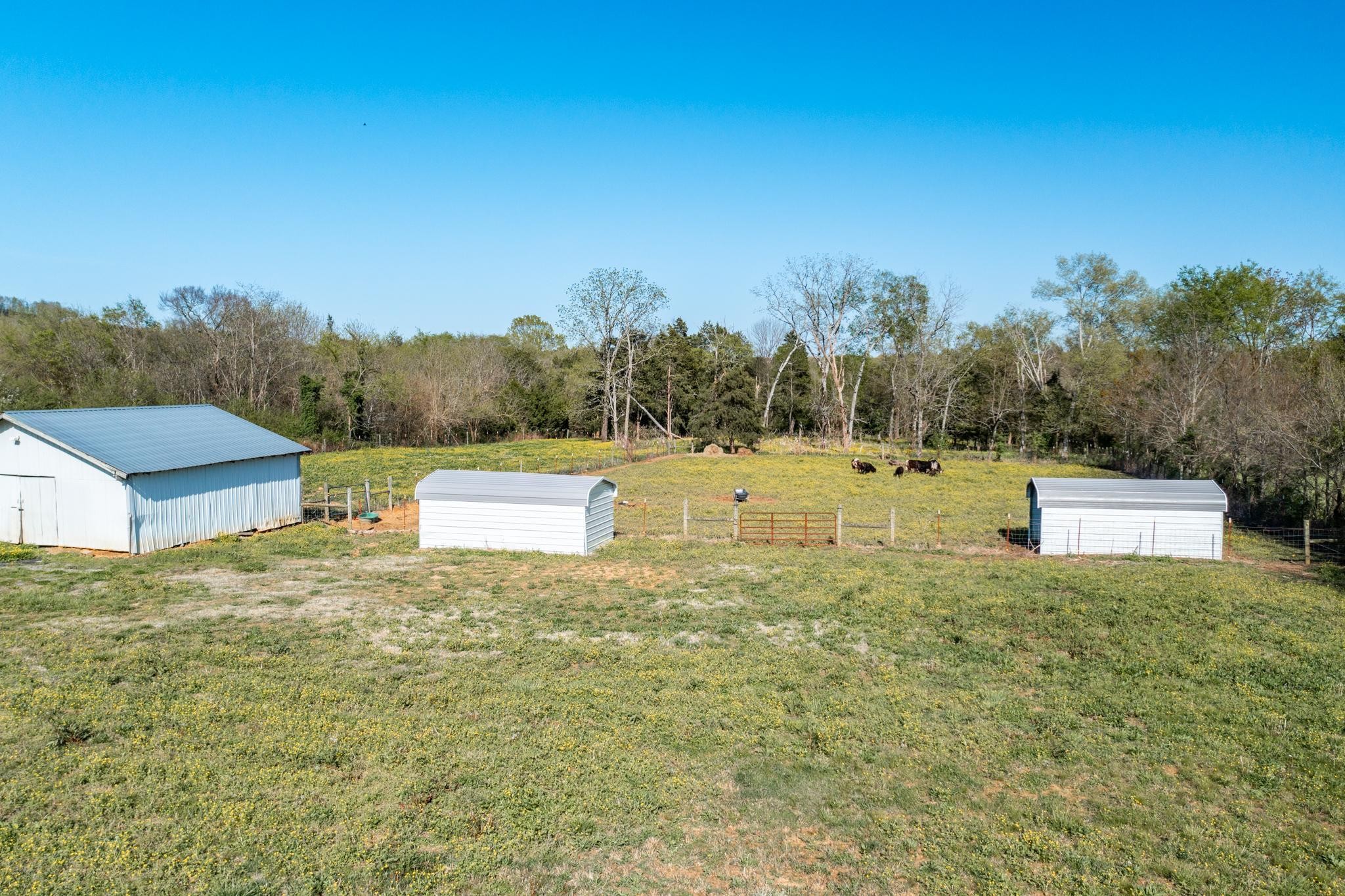 13459 Versailles Road Rockvale, TN 37153 - Photo 39 of 40 a backyard of a house with lots of green space