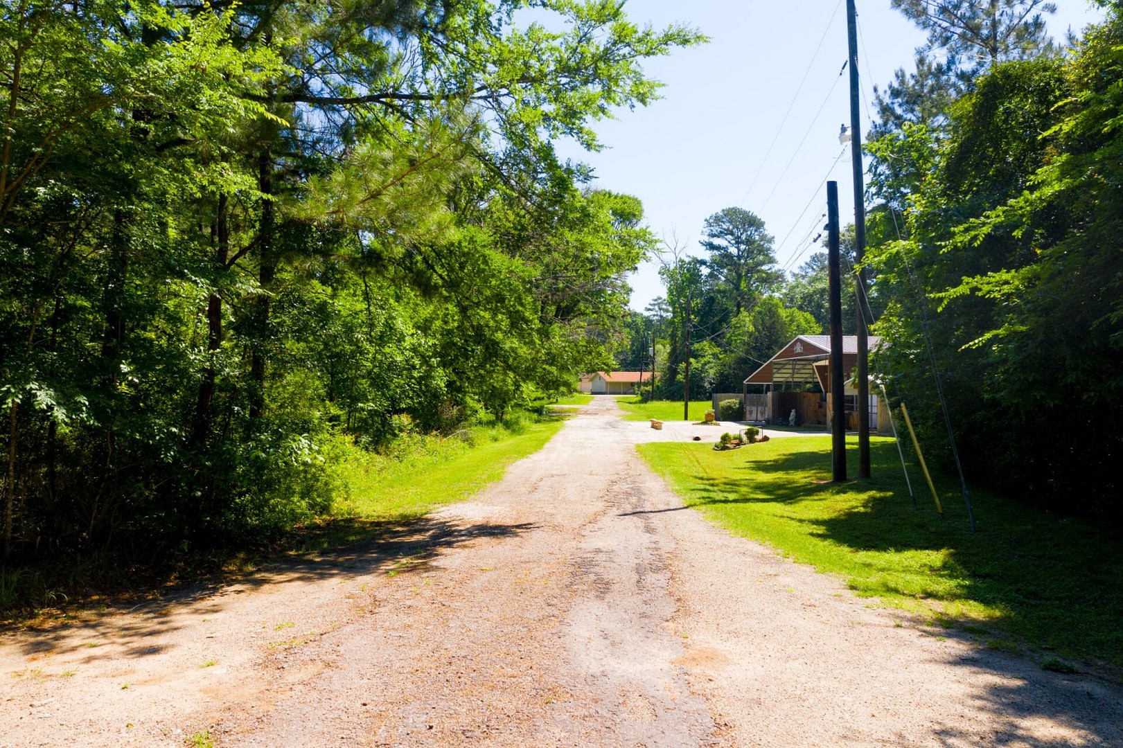 a view of a yard with plants