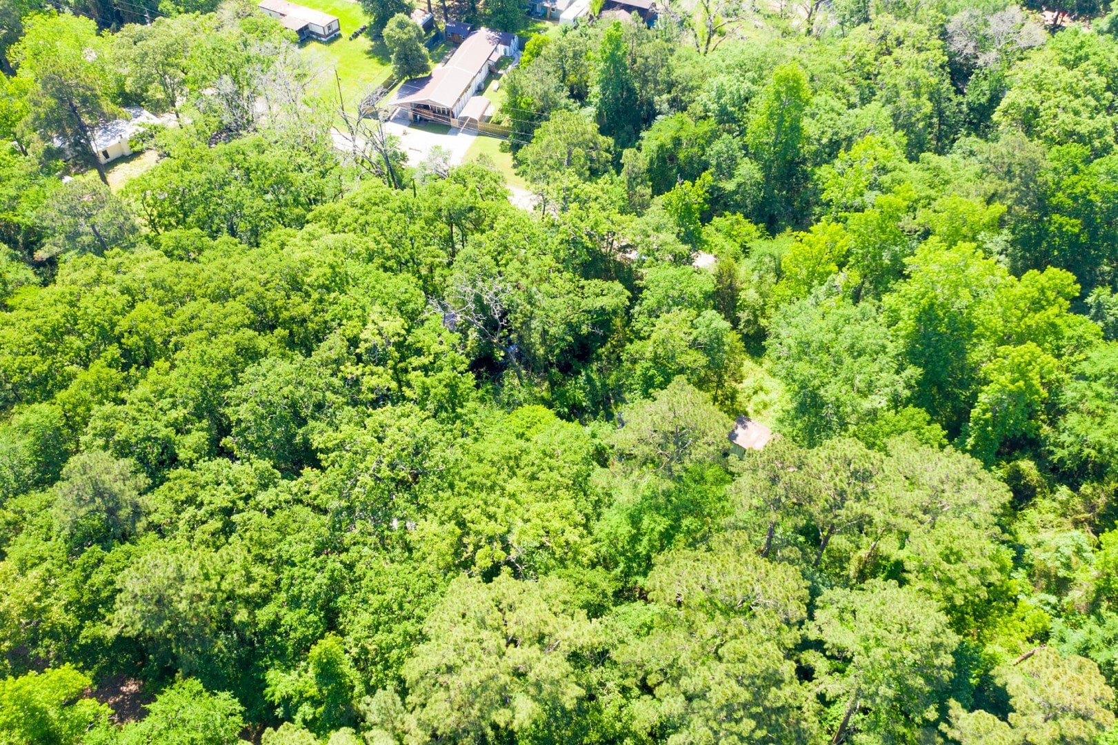 10-11 Rabbit Run Lane Trinity, TX 75862 - Photo 11 of 30 a view of a lush green forest