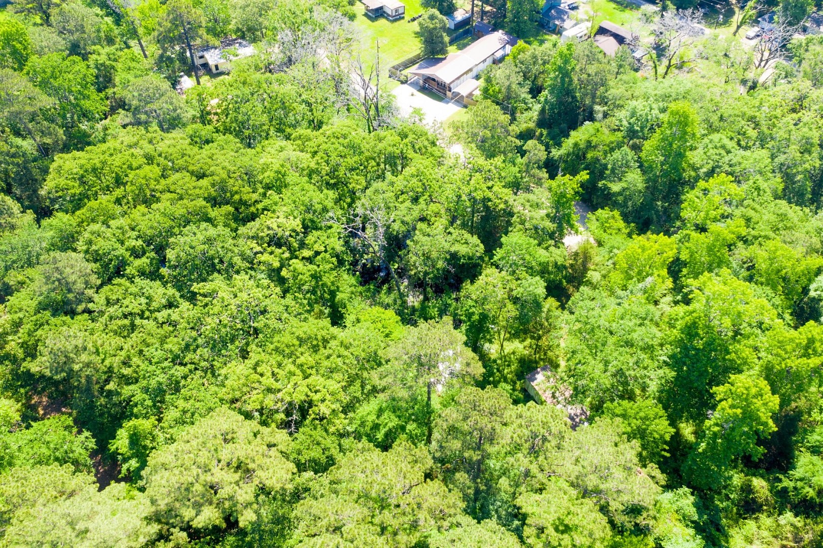 10-11 Rabbit Run Lane Trinity, TX 75862 - Photo 12 of 30 a view of a lush green forest