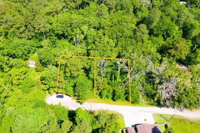 a view of a yard with a tree