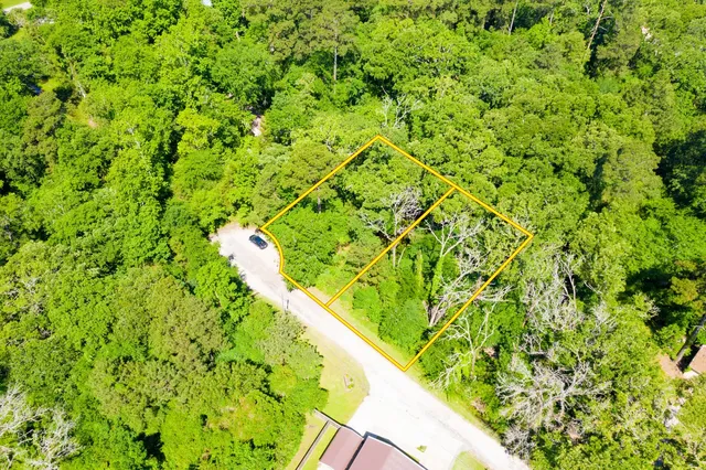 a view of a yard with a tree