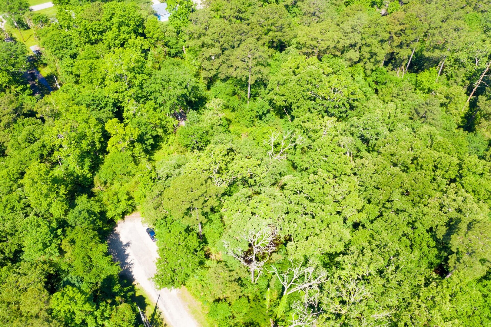 10-11 Rabbit Run Lane Trinity, TX 75862 - Photo 6 of 30 a view of a green field