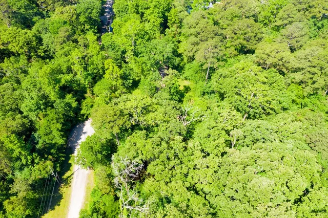 a view of a lush green yard