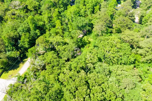 $14,900 | 10-11 Rabbit Run Lane, Trinity, TX 75862