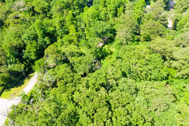a view of a lush green space