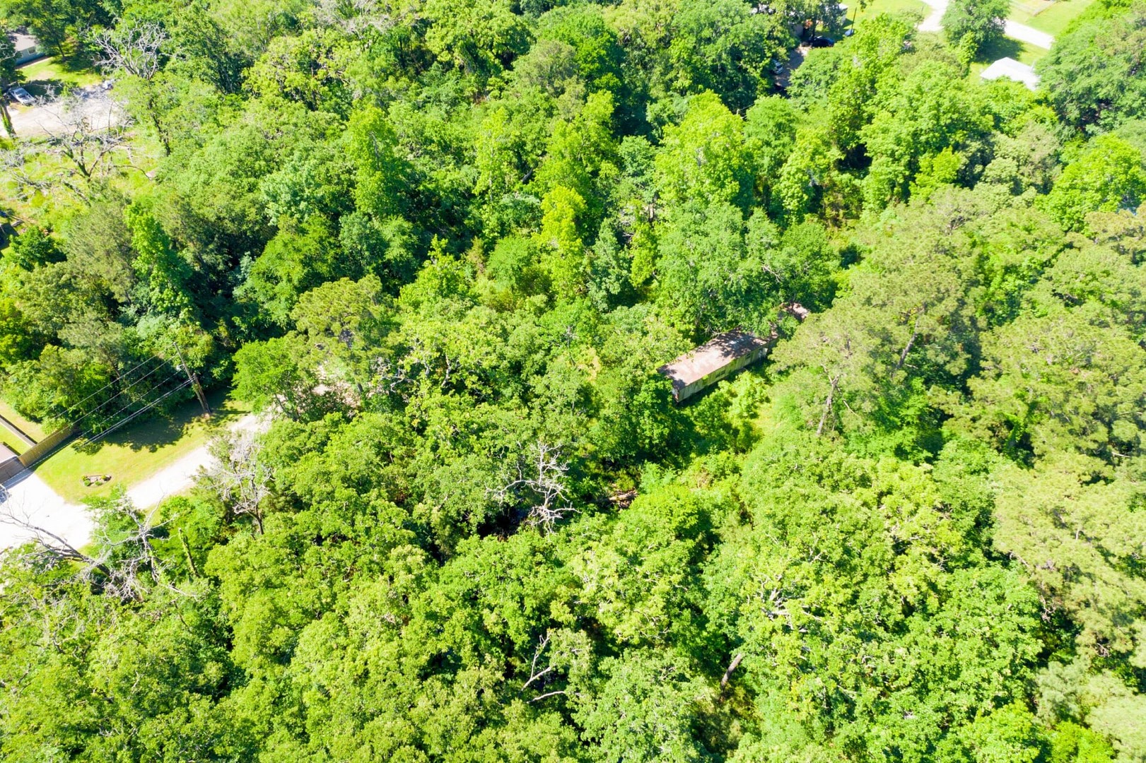 10-11 Rabbit Run Lane Trinity, TX 75862 - Photo 9 of 30 a view of a lush green forest with a tree