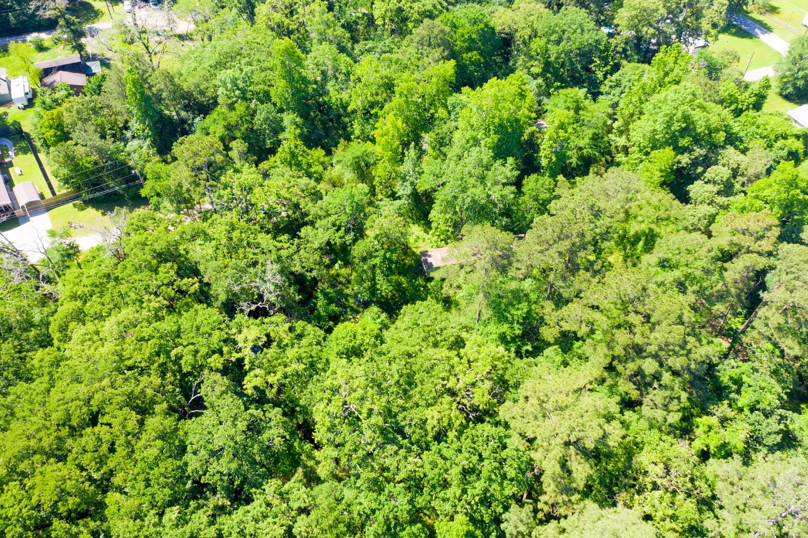 10-11 Rabbit Run Lane Trinity, TX 75862 - Photo 10 of 30 a view of a lush green forest