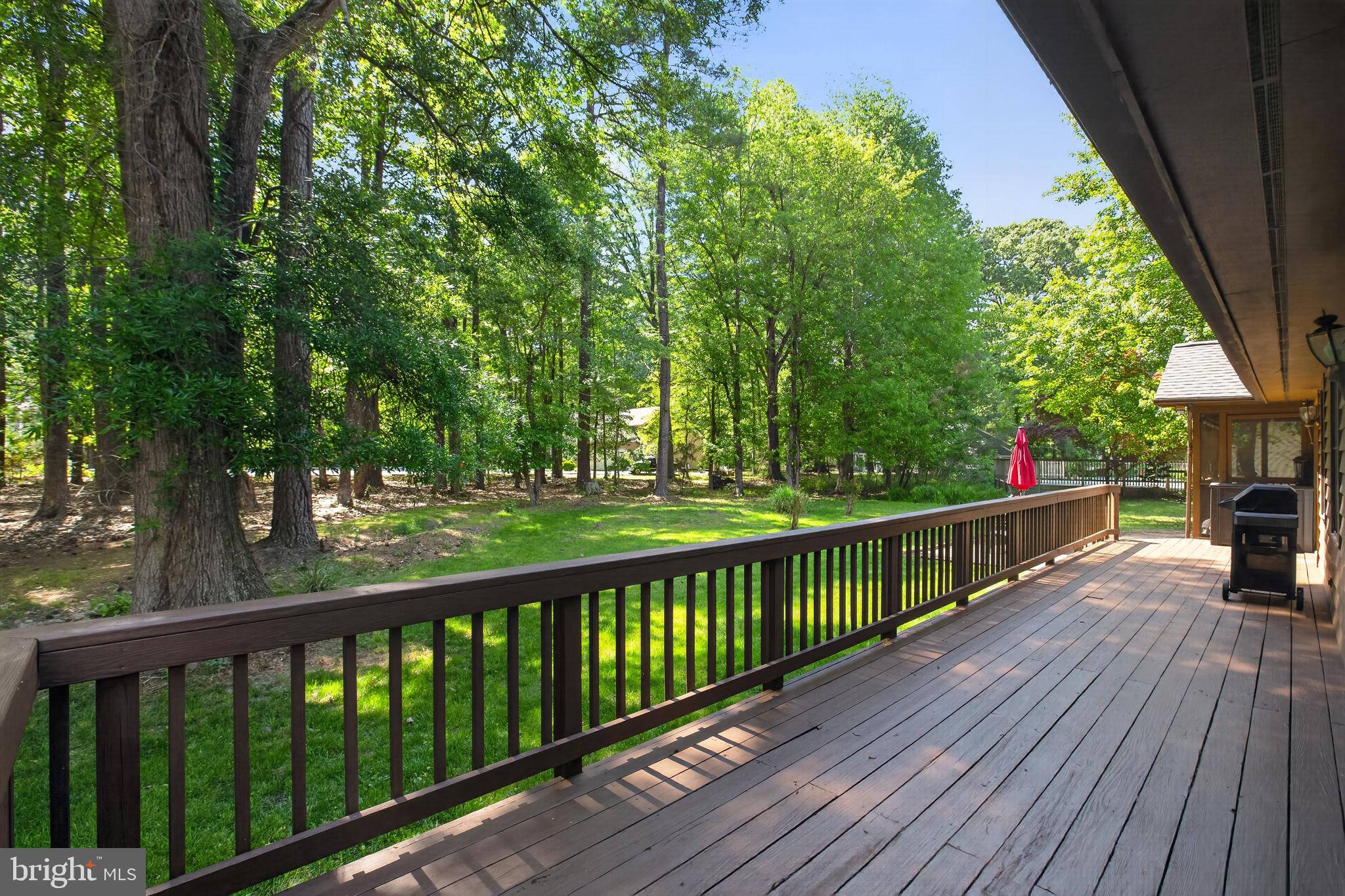 14575 Honeysuckle Way Issue, MD 20645 - Photo 18 of 49 a view of deck with a large trees