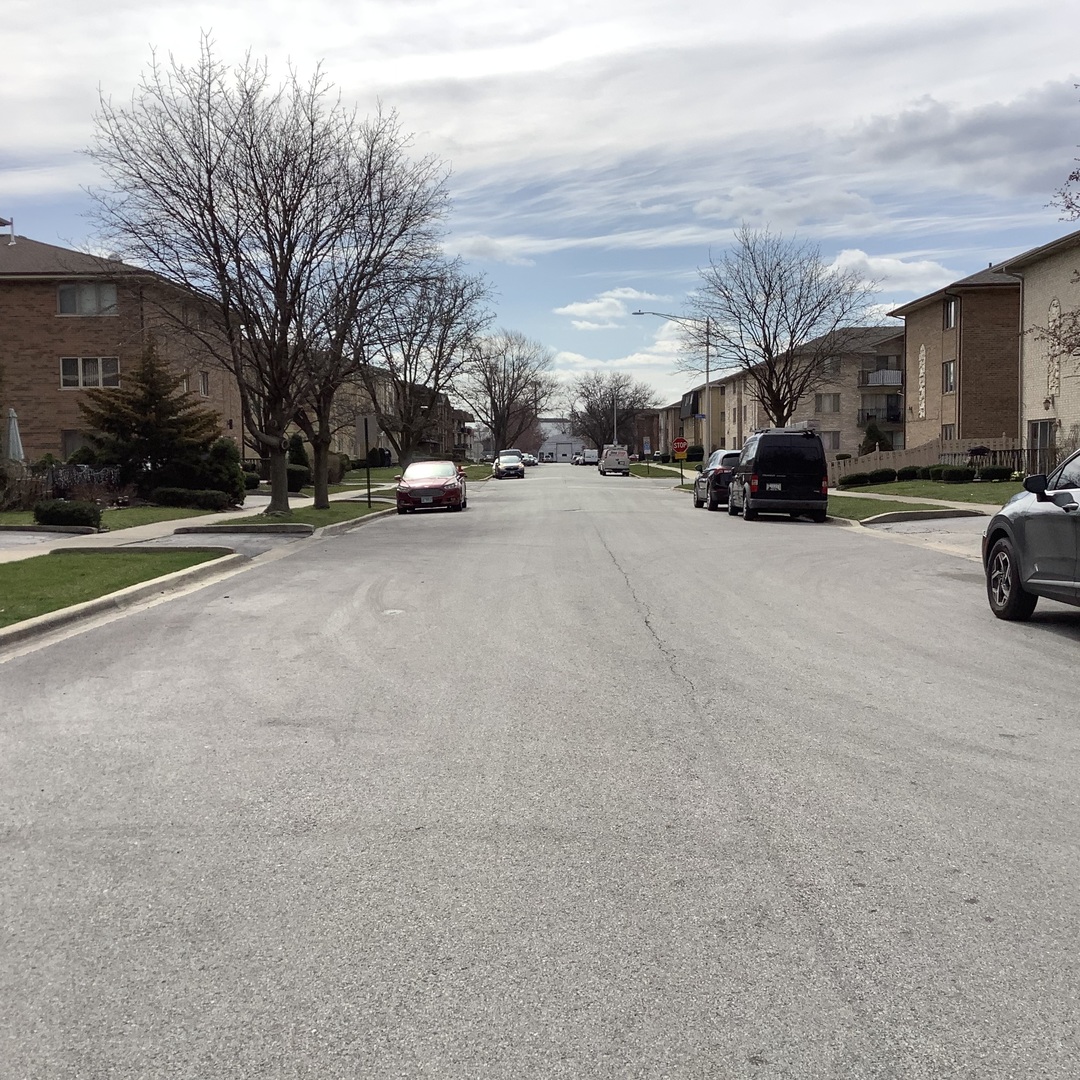 10530 Parkside Avenue, Unit 10 Chicago Ridge, IL 60415 - Photo 30 of 30 a view of street with parked cars
