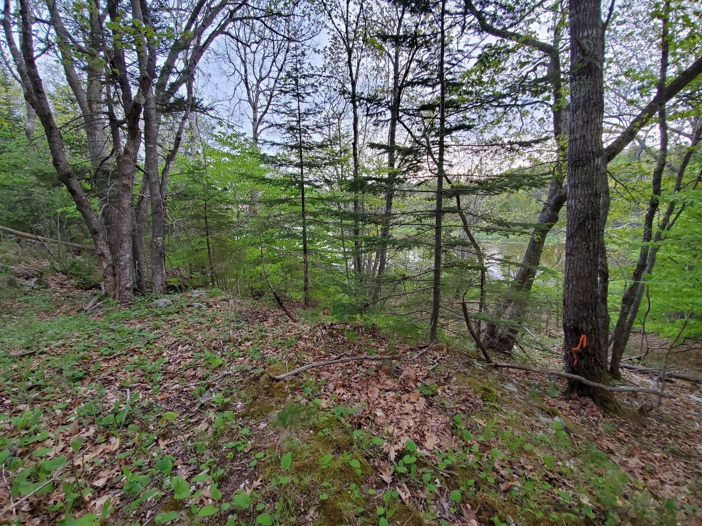 2 Robbins Point Road Gouldsboro, ME 04607 - Photo 15 of 31 west side follows old fenceline