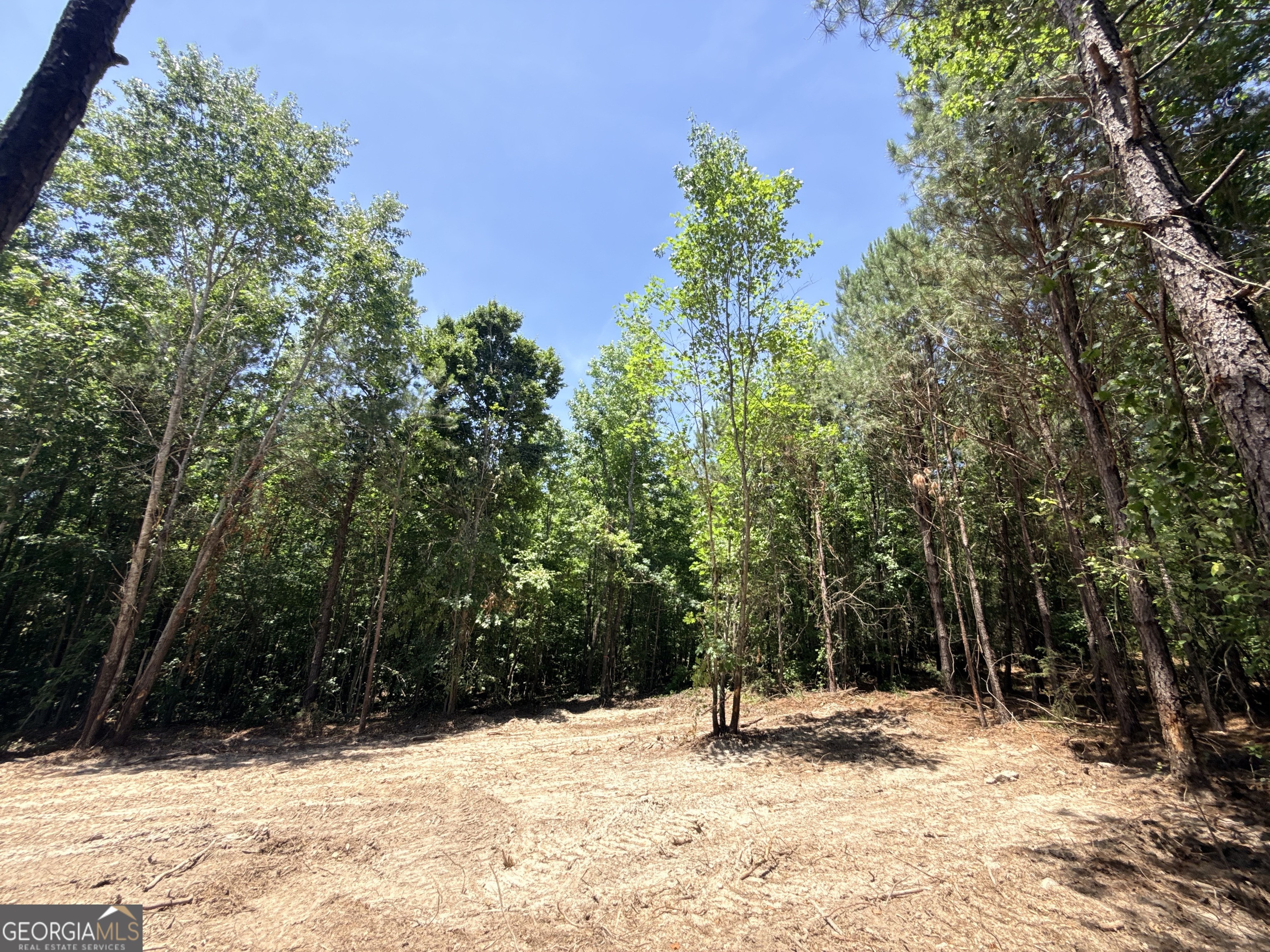 2807 Cedar Creek Road Elberton, GA 30635 - Photo 82 of 109