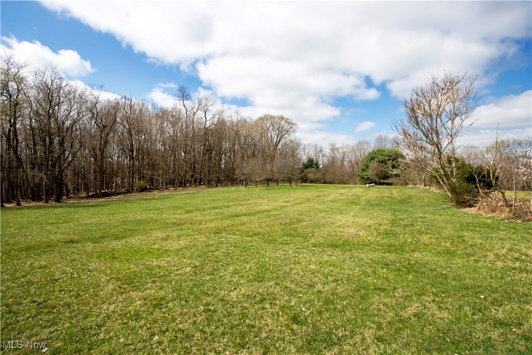 11079 Colwill Road Gambier, OH 43022 - Photo 9 of 41 View of yard