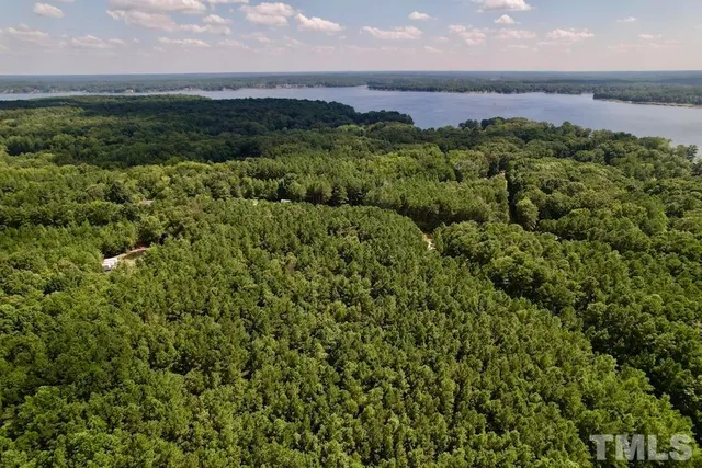 a view of a city with lush green forest