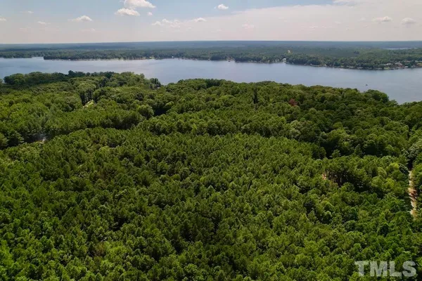 a view of a lake with a city