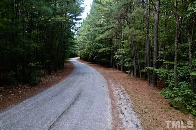 a view of a street with trees and bushes