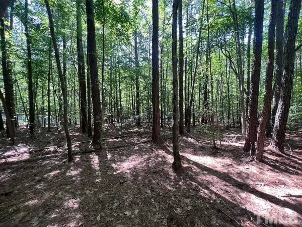 a view of outdoor space and green space