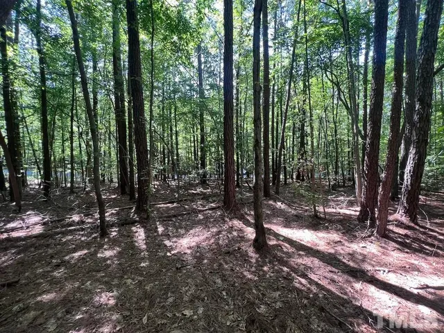 a view of outdoor space and green space