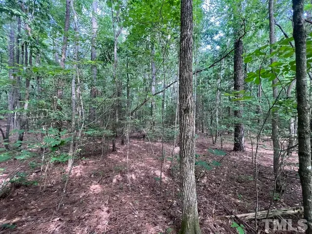 a bird view of a garden