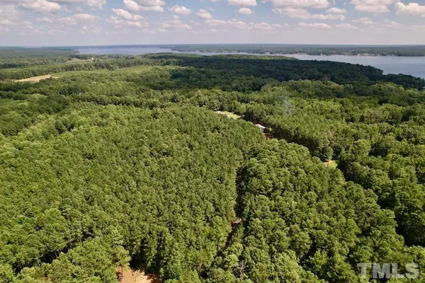 a view of a green field with lots of bushes