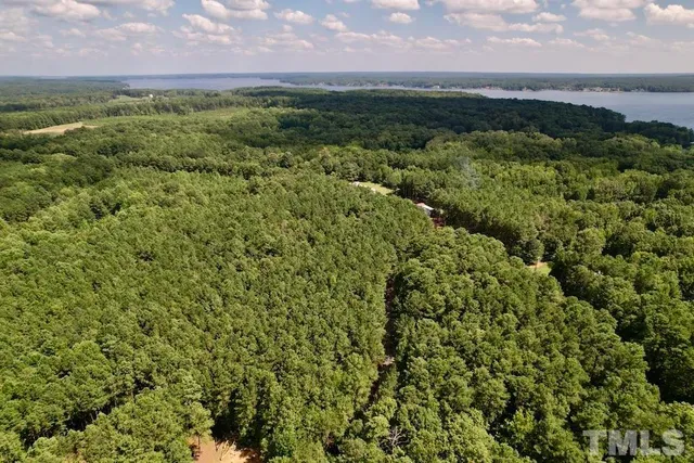 a view of a green field with lots of bushes