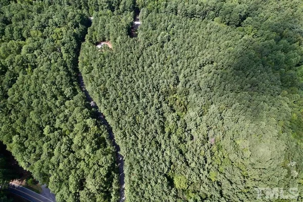 a view of a lush green forest