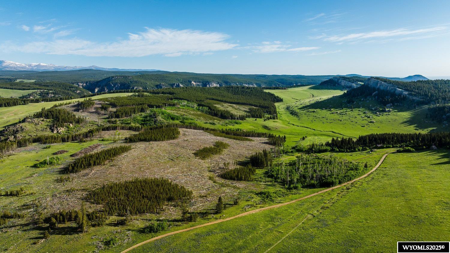 Muddy Guard Muddy Guard Muddy Guard Buffalo, WY 82834 - Photo 15 of 49