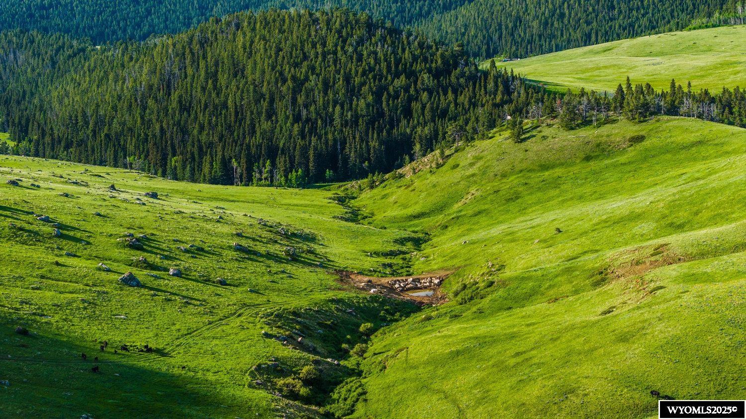 Muddy Guard Muddy Guard Muddy Guard Buffalo, WY 82834 - Photo 17 of 49