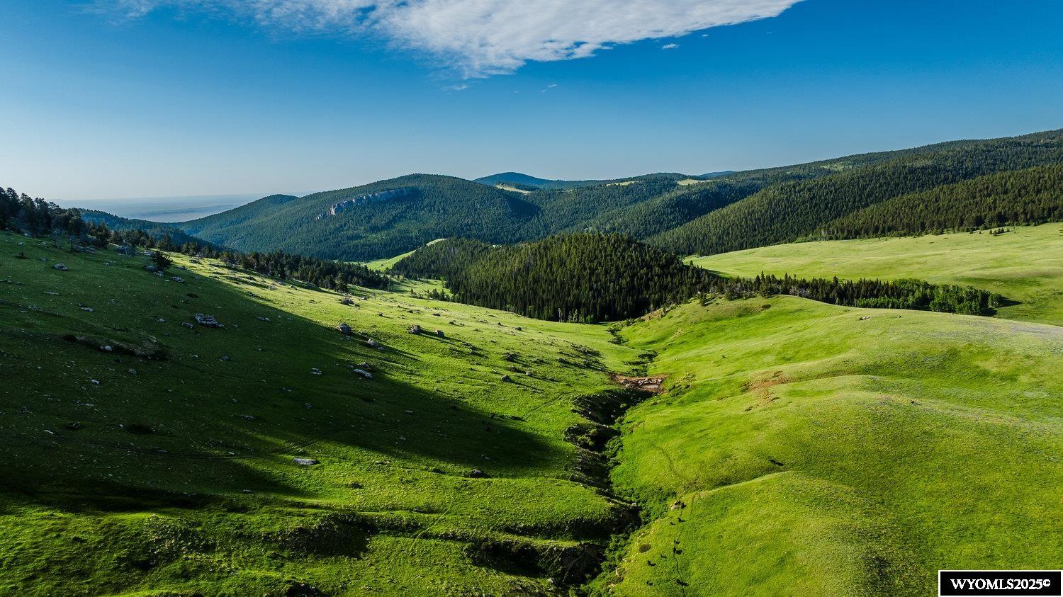 Muddy Guard Muddy Guard Muddy Guard Buffalo, WY 82834 - Photo 18 of 49