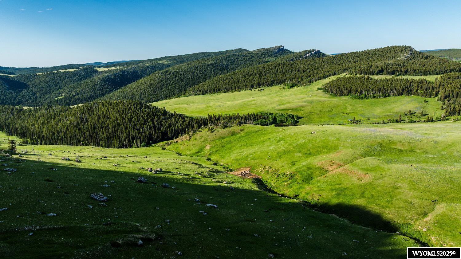 Muddy Guard Muddy Guard Muddy Guard Buffalo, WY 82834 - Photo 28 of 49