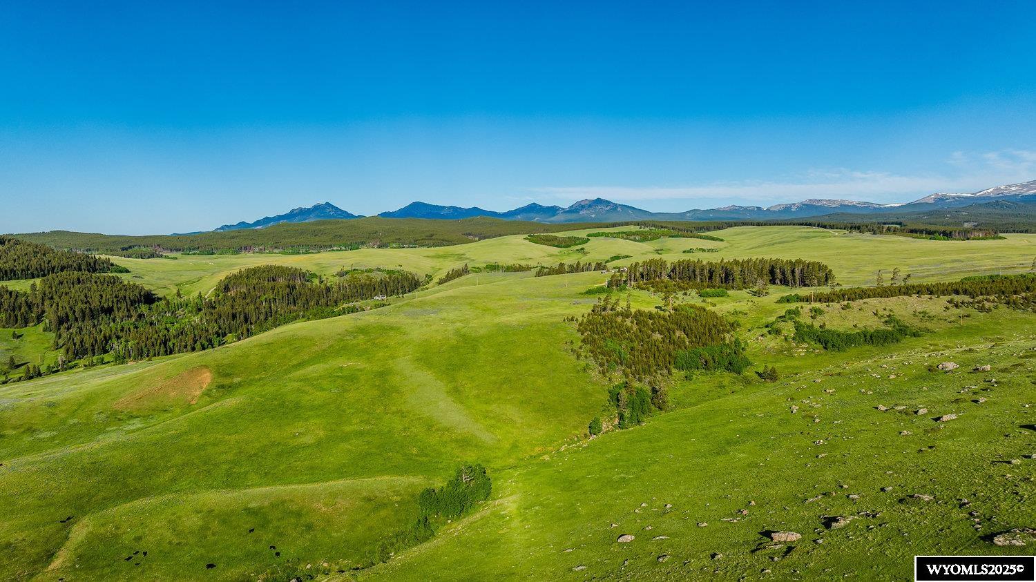 Muddy Guard Muddy Guard Muddy Guard Buffalo, WY 82834 - Photo 29 of 49