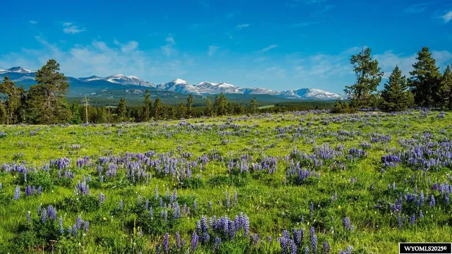 $1,850,000 | Muddy Guard Muddy Guard Muddy Guard, Buffalo, WY 82834