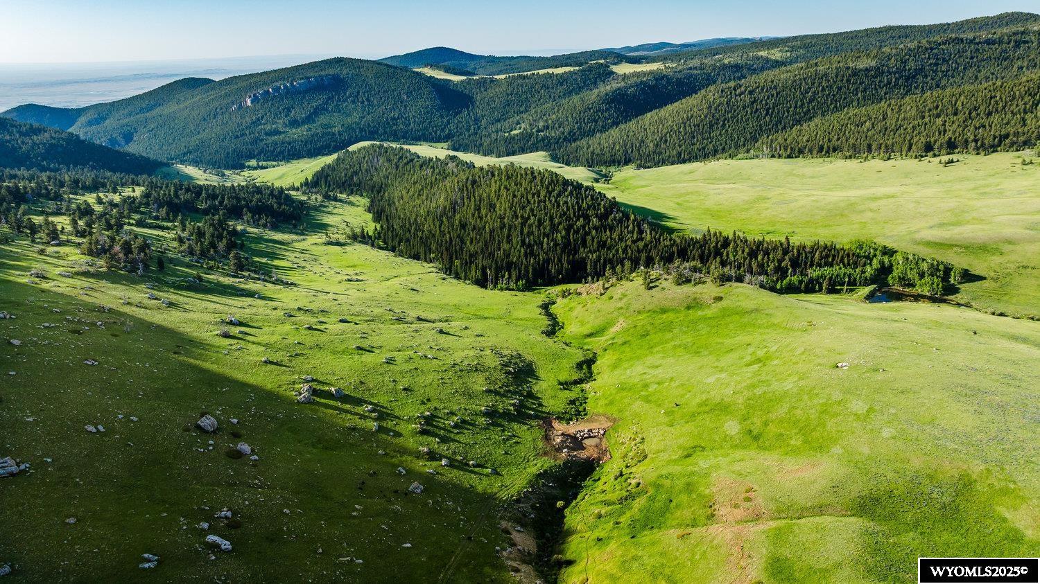 Muddy Guard Muddy Guard Muddy Guard Buffalo, WY 82834 - Photo 36 of 49