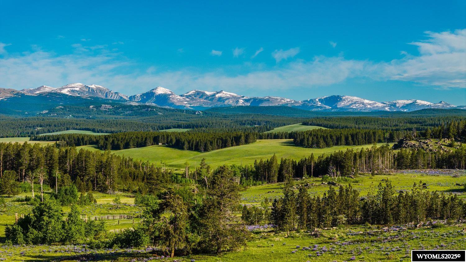Muddy Guard Muddy Guard Muddy Guard Buffalo, WY 82834 - Photo 37 of 49
