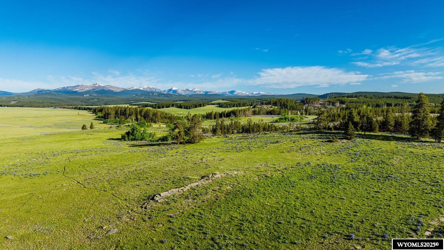 Muddy Guard Muddy Guard Muddy Guard Buffalo, WY 82834 - Photo 38 of 49
