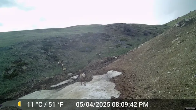 $1,850,000 | Muddy Guard Muddy Guard Muddy Guard, Buffalo, WY 82834