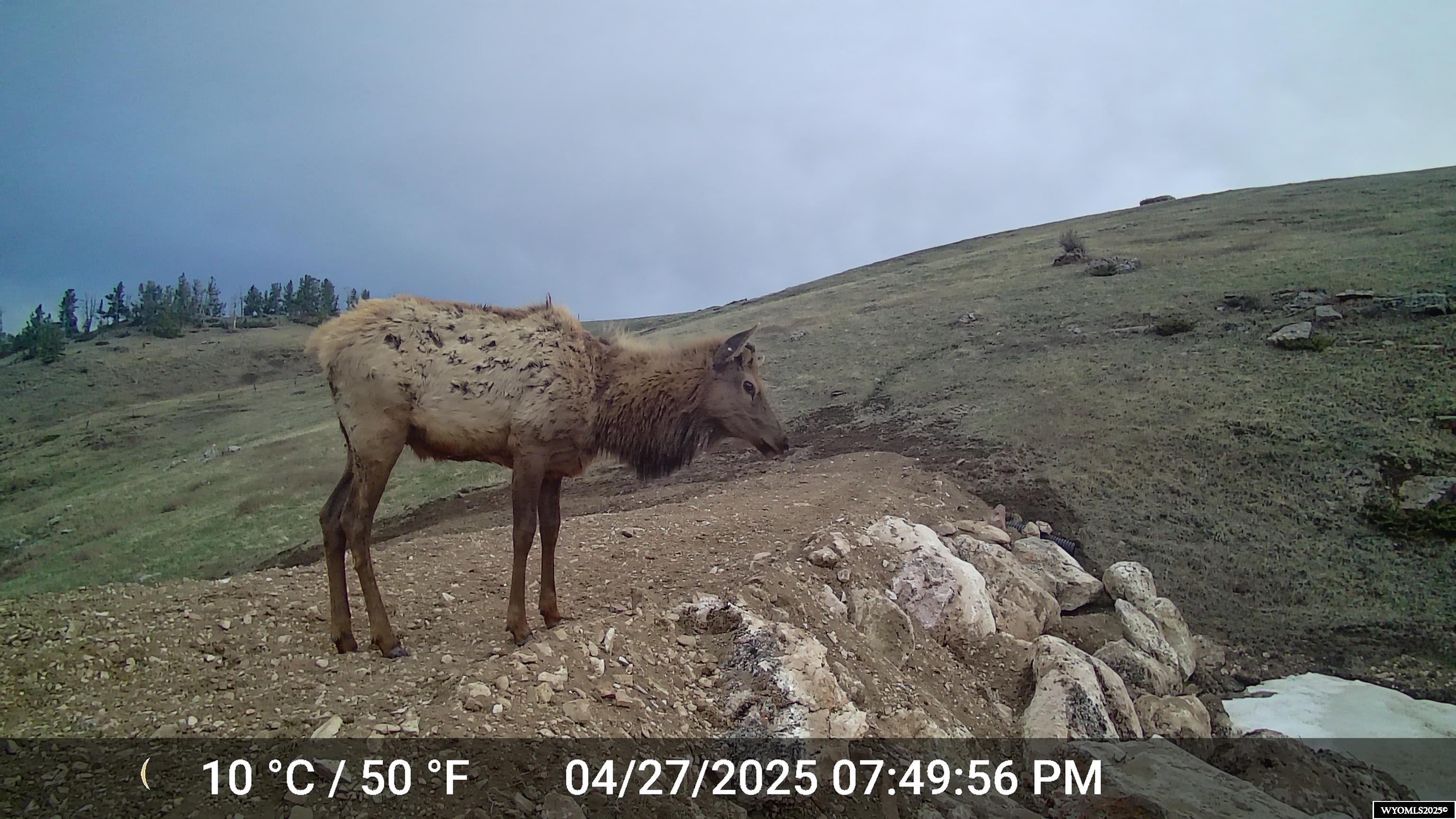 Muddy Guard Muddy Guard Muddy Guard Buffalo, WY 82834 - Photo 43 of 49