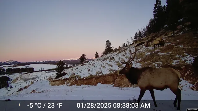 $1,850,000 | Muddy Guard Muddy Guard Muddy Guard, Buffalo, WY 82834