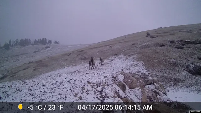 $1,850,000 | Muddy Guard Muddy Guard Muddy Guard, Buffalo, WY 82834