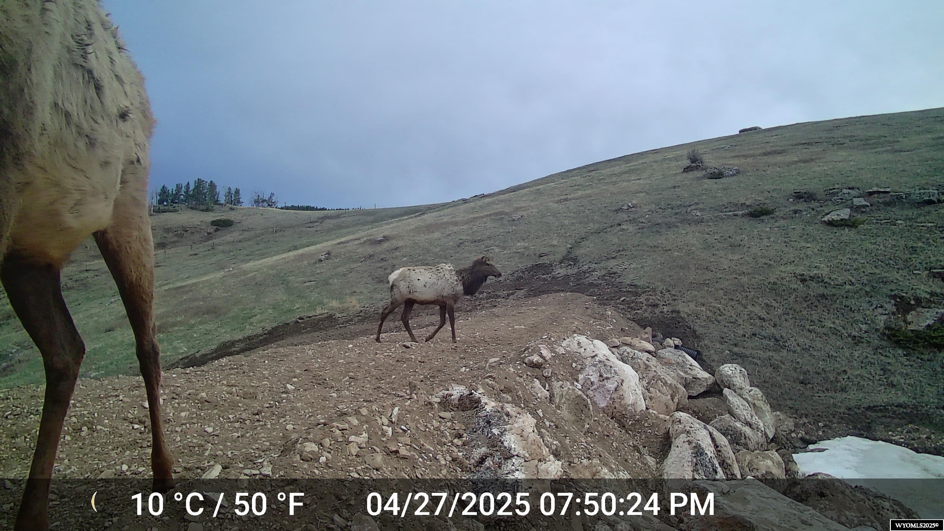 Muddy Guard Muddy Guard Muddy Guard Buffalo, WY 82834 - Photo 46 of 49