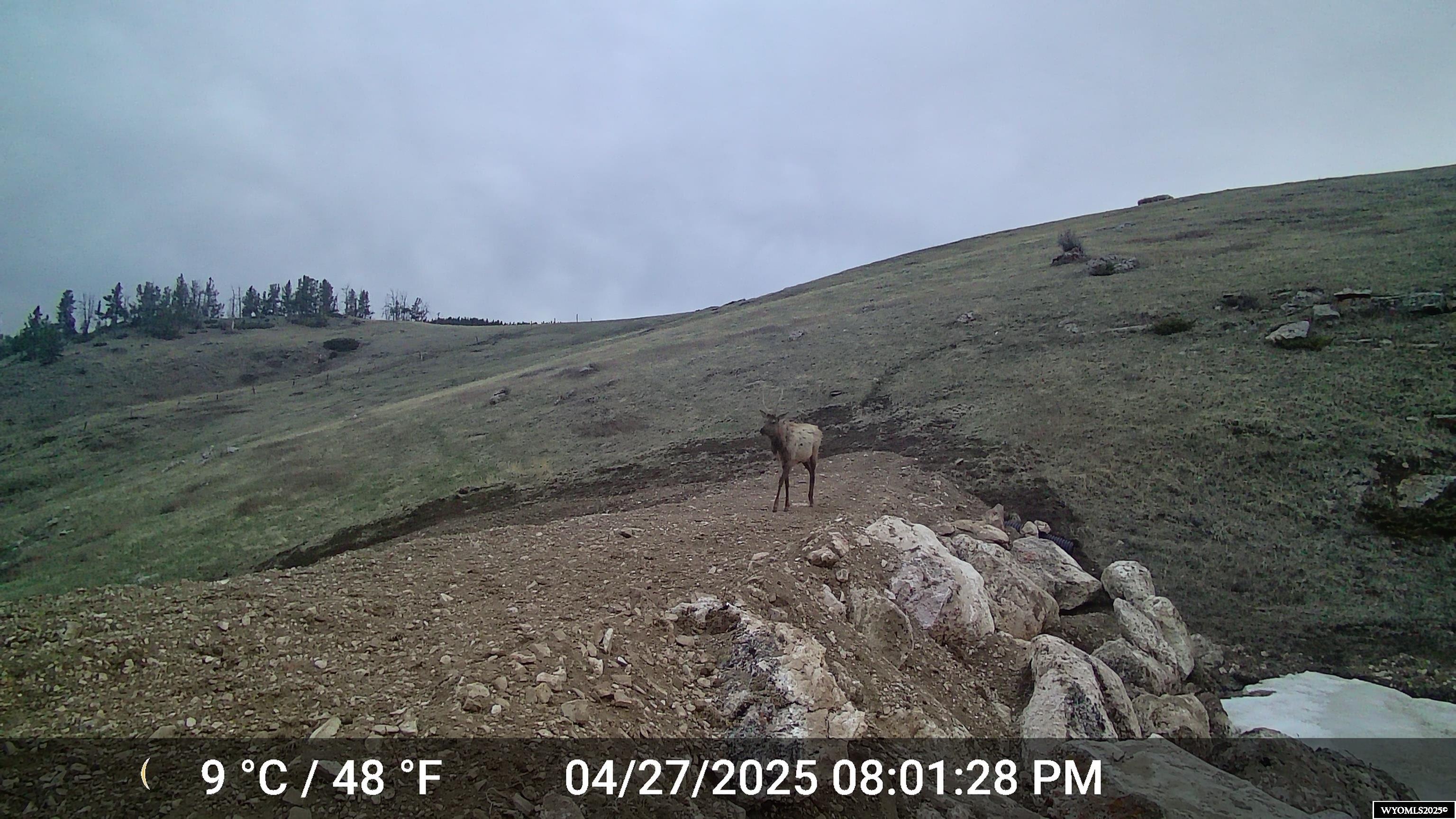 Muddy Guard Muddy Guard Muddy Guard Buffalo, WY 82834 - Photo 47 of 49