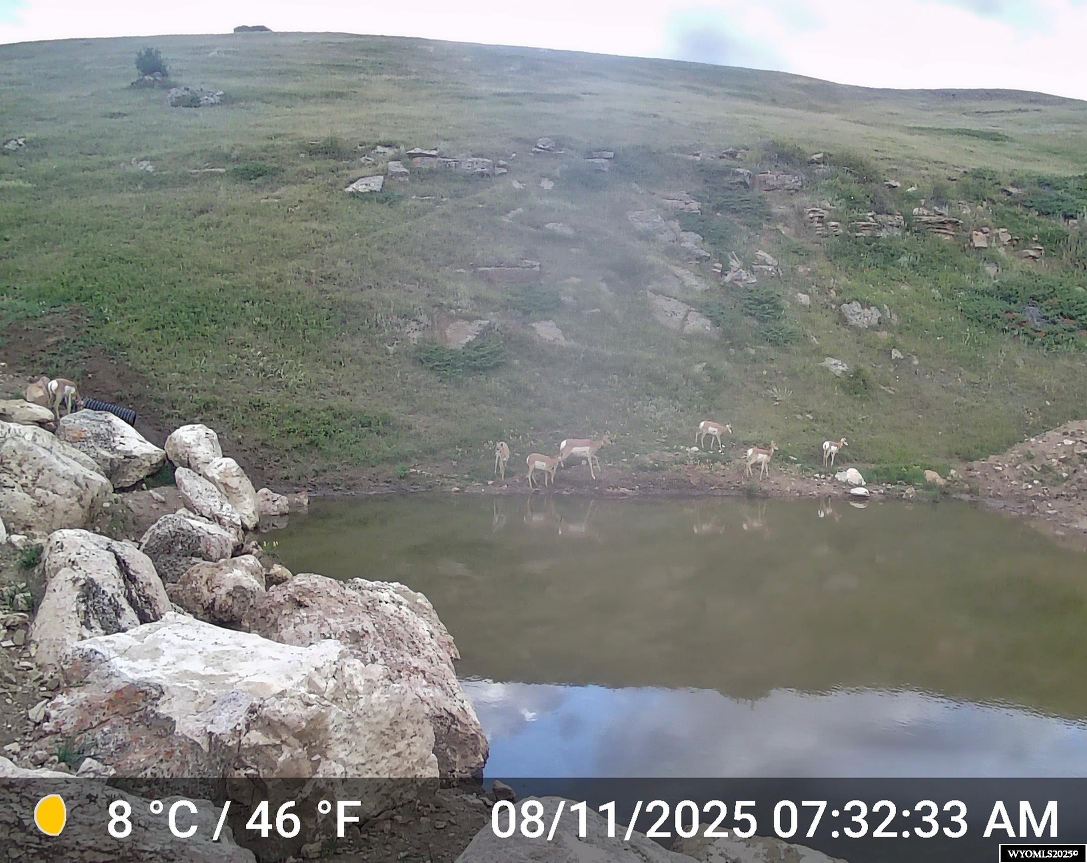 Muddy Guard Muddy Guard Muddy Guard Buffalo, WY 82834 - Photo 48 of 49